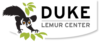 DLC